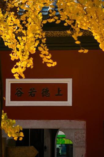 270-Gewaltlosigkeit-Buddha Blog Podcast - Buddhismus im Alltag