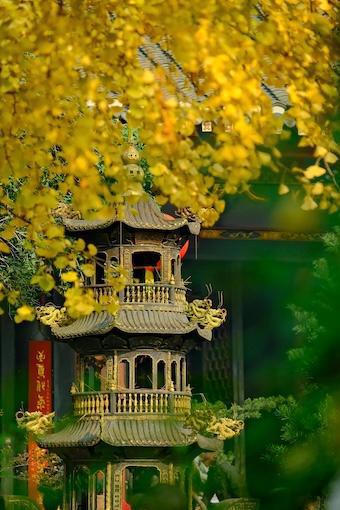 270-Gewaltlosigkeit-Buddha Blog Podcast - Buddhismus im Alltag