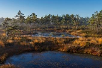 Religionsvergleich 2 