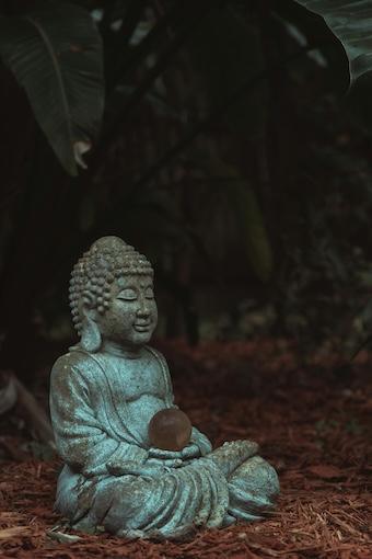 Buddha und das Laster