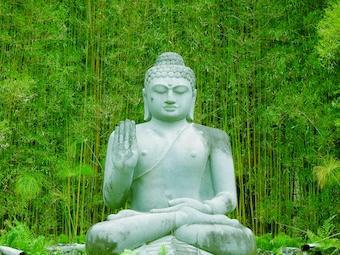 Buddha und das Laster