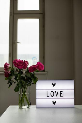 Die Liebe