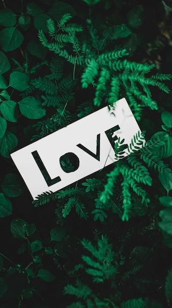 Die Liebe