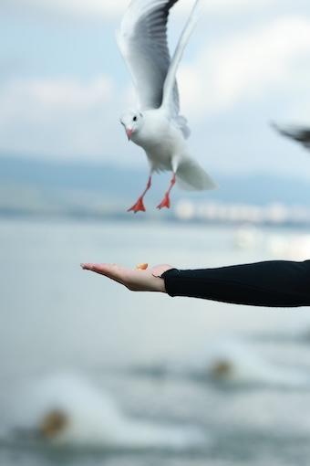 286-Illusion der Trennung-Buddha Blog Podcast - Buddhismus im Alltag