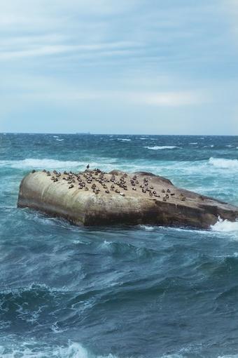 292-Warum bin ich?-Buddha Blog Podcast - Buddhismus im Alltag