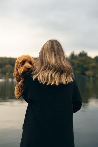 295-Einfacheit als Ziel-Buddha Blog Podcast - Buddhismus im Alltag
