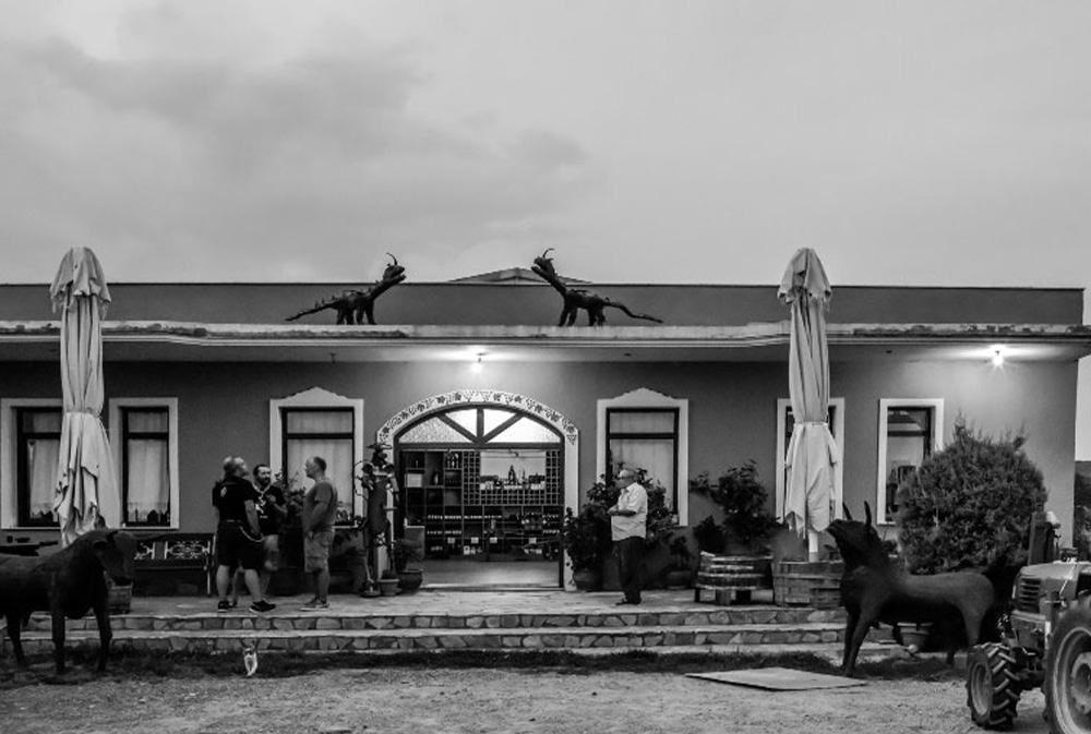 Greece Uncorked: Macedonian Dance & Wine Exhibition