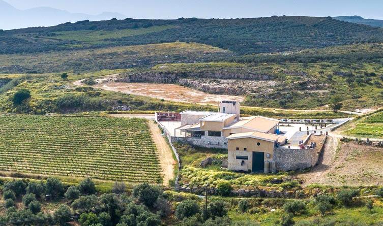 Raise a Glass to Greek-American Heritage Raise a Glass to Greek-American Heritage