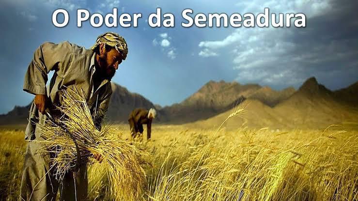 O poder da semeadura!
