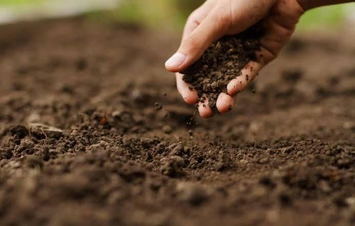 Avraham... Tema: Preciso preparar a terra pra lançar minhas sementes.