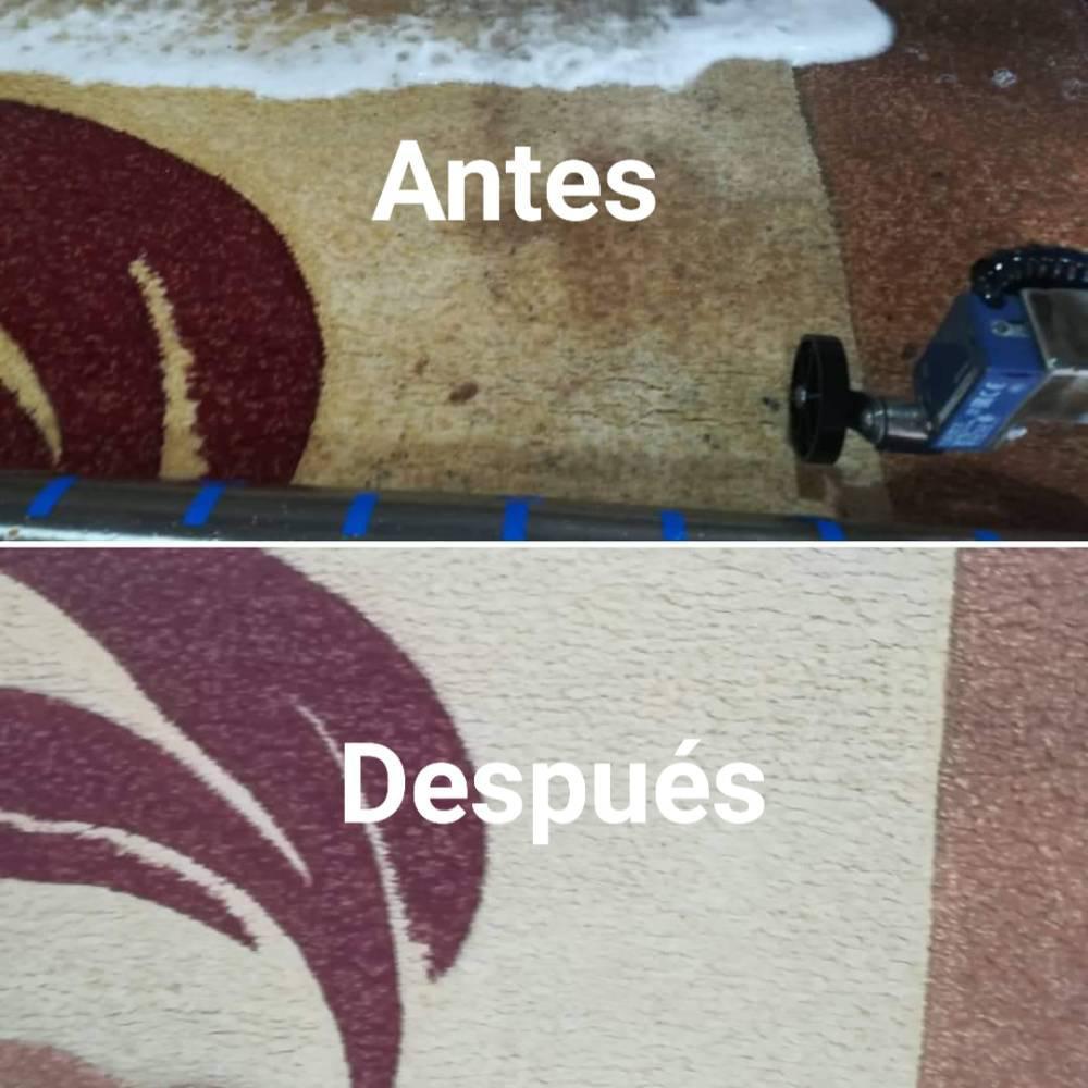 Antes & Despues