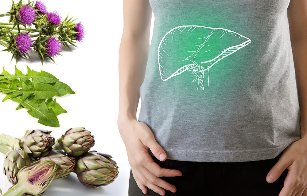 Depura il fegato e risveglia il tuo corpo! Depura il fegato e risveglia il tuo corpo!