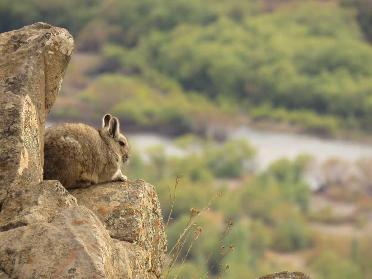 Reserva Natural Urbana Quilque Lil Reserva Natural Urbana Quilque Lil