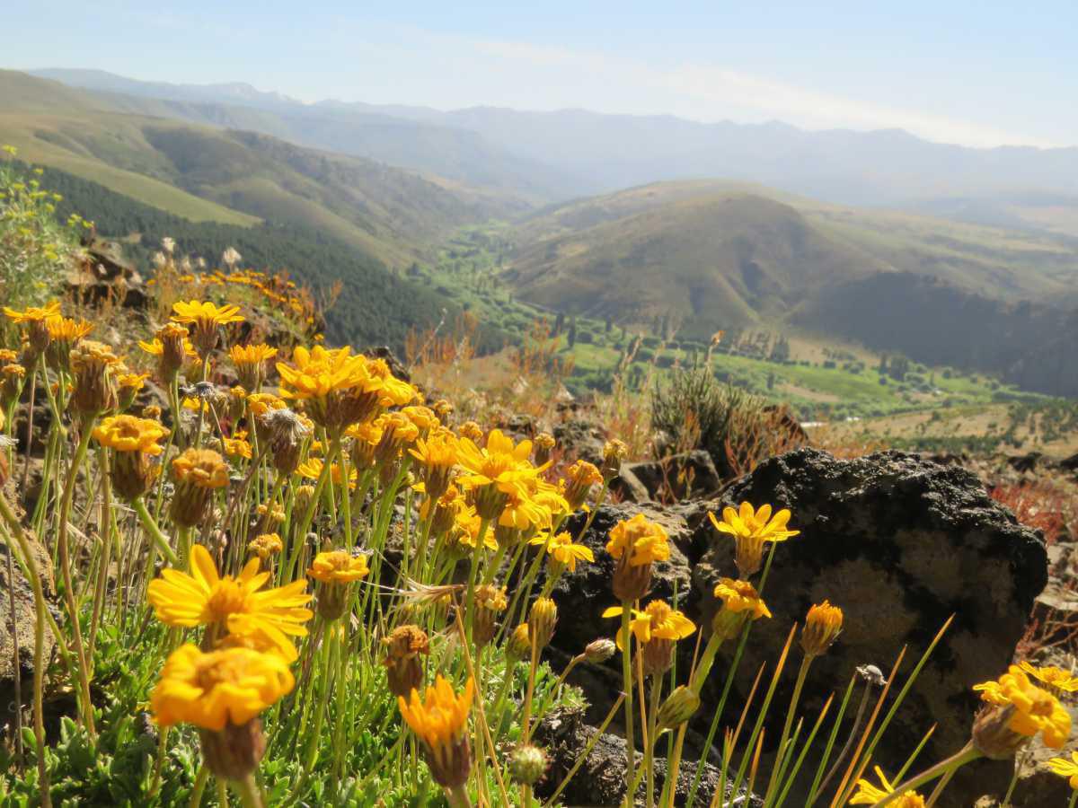 Reserva Natural Urbana Quilque Lil Reserva Natural Urbana Quilque Lil