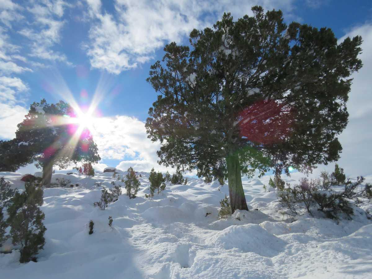 Reserva Natural Urbana Quilque Lil Reserva Natural Urbana Quilque Lil