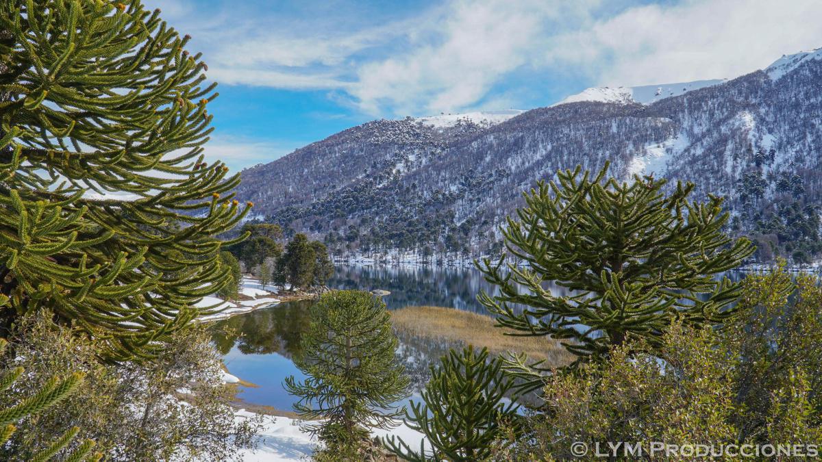 Circuito Ruca Choroy Circuito Ruca Choroy