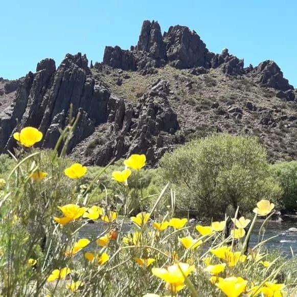 Hostería Montaña Negra
