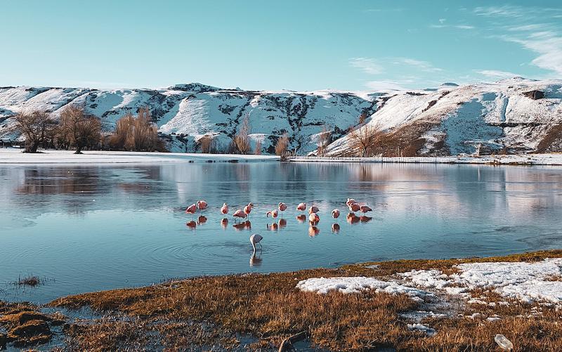 ¡¡Observación de flora y fauna - Avistaje de aves!! ¡¡Observación de flora y fauna - Avistaje de aves!!