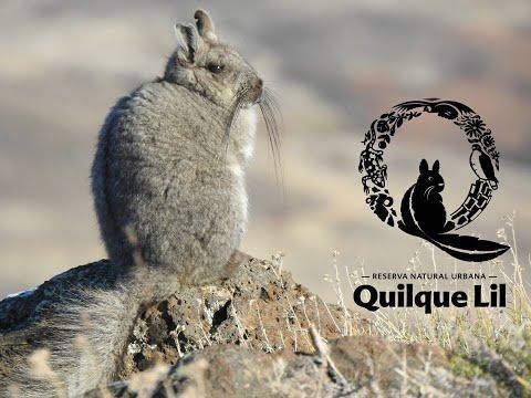 Reserva natural Quilque Lil Reserva natural Quilque Lil