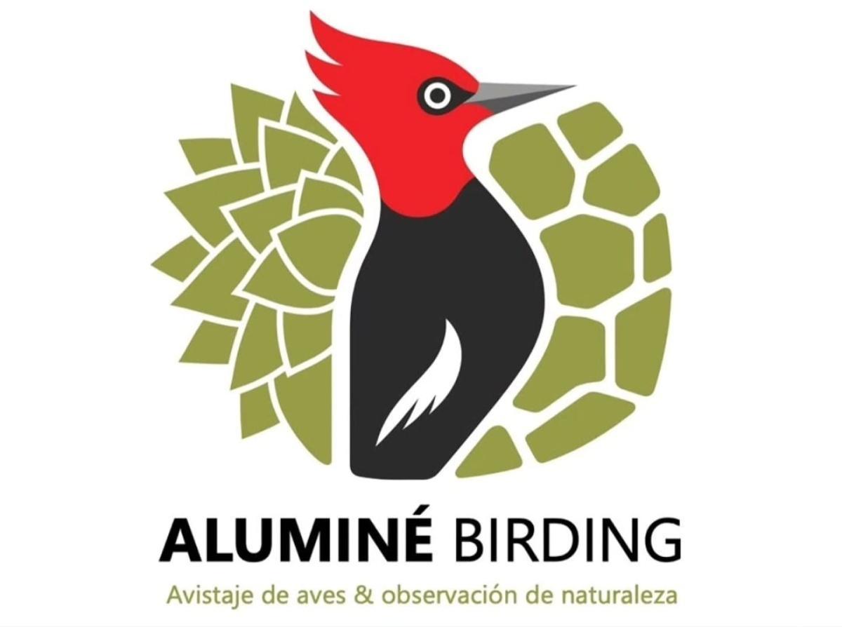 Aluminé Birding - Avistaje de aves y observación de naturaleza Aluminé Birding - Avistaje de aves y observación de naturaleza