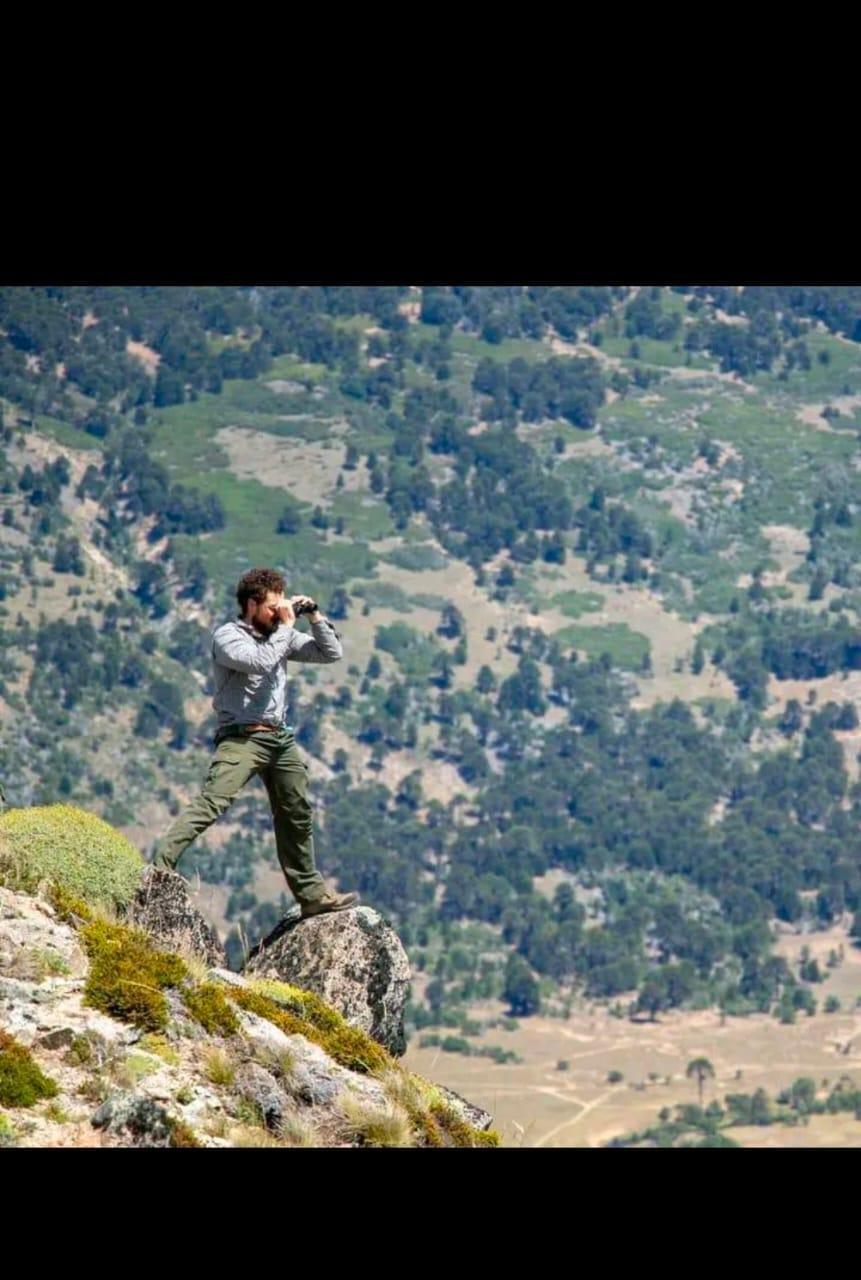 Aluminé Birding - Avistaje de aves y observación de naturaleza Aluminé Birding - Avistaje de aves y observación de naturaleza