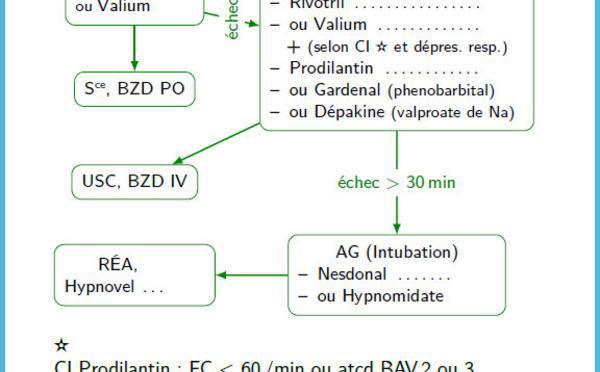 Etat de mal épileptique
