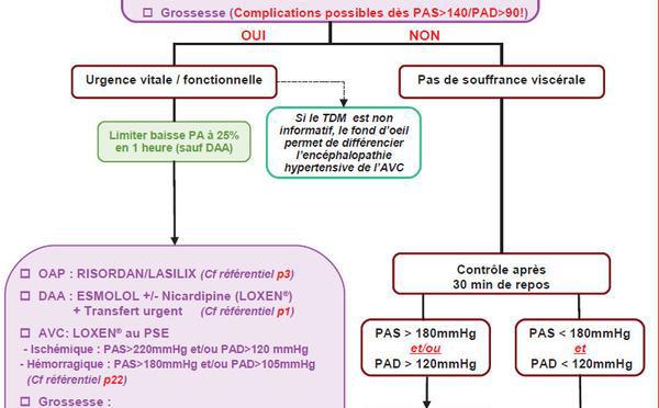 LA CRISE HYPERTENSIVE DE L’ADULTE