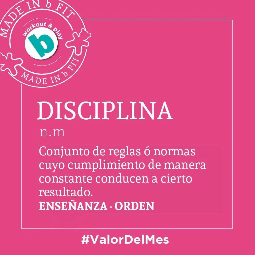 Disciplina 