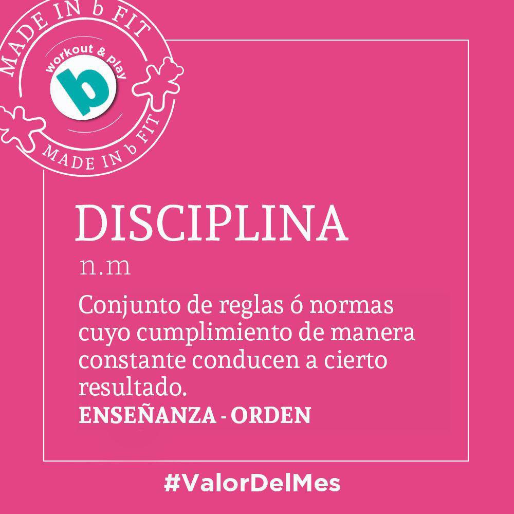 Disciplina