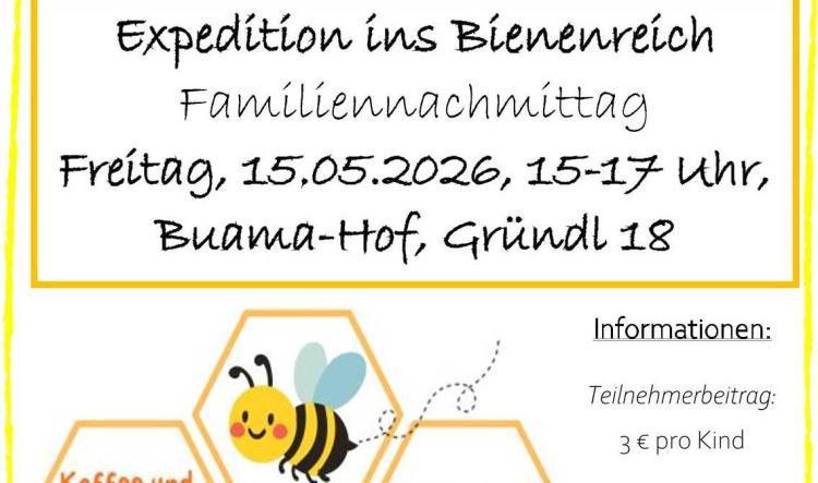 Expedition ins Bienenreich