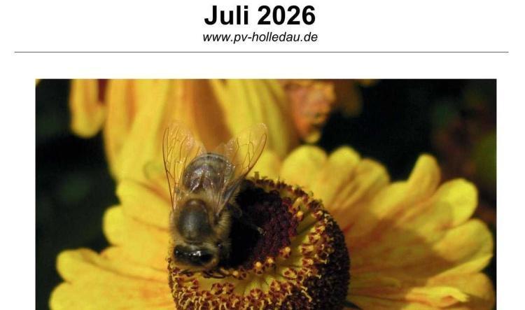 Pfarrblattl Juli 2026