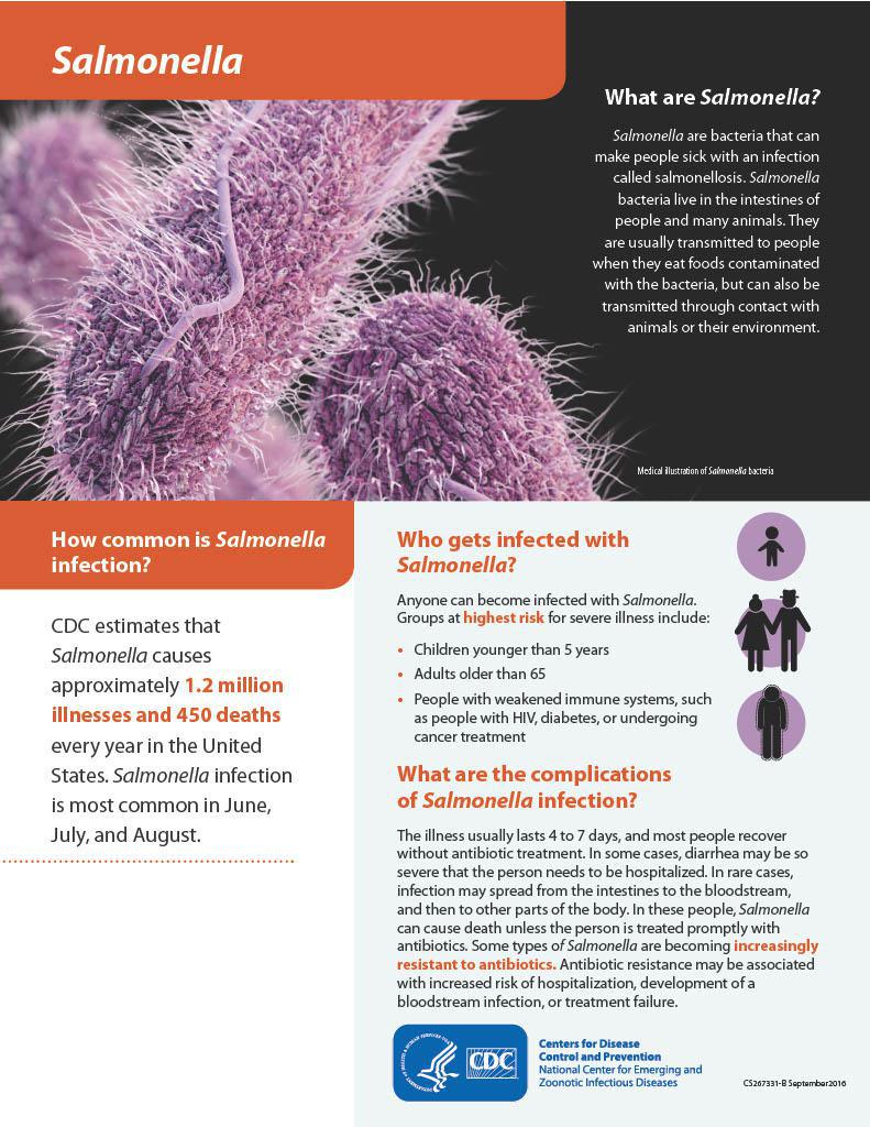 Salmonella Outbreak Info