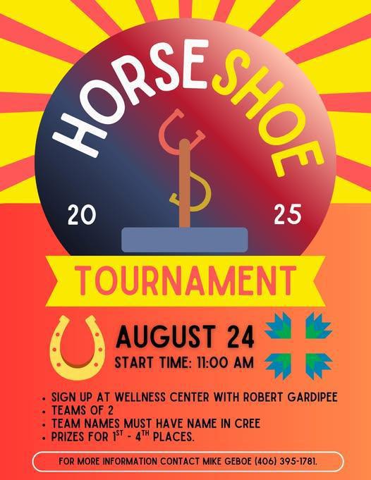Horseshoe Tournament