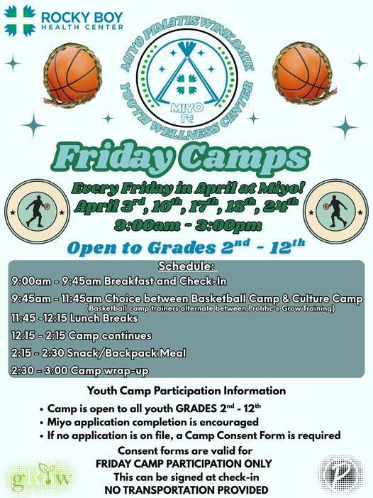 Friday Camps