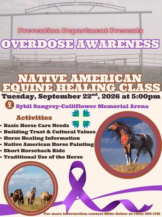 Overdose Awareness Horse Activity