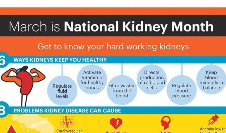 Get to know your Kidneys