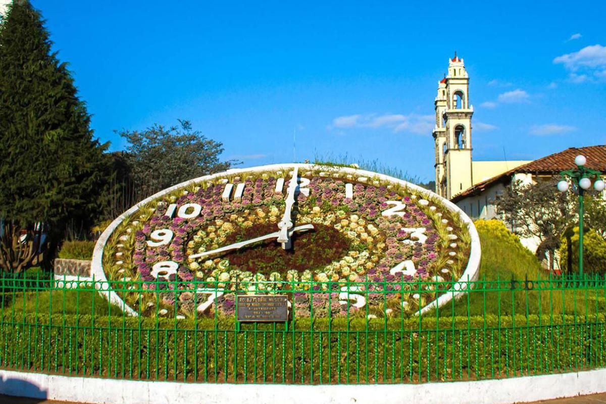 Reloj Floral Monumental