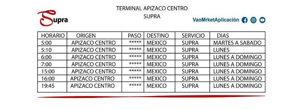 ·Terminal Apizaco· (centro)