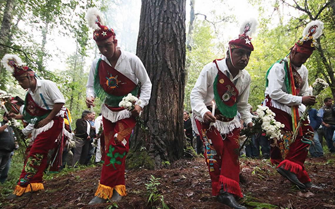 Ritual de los Voladores