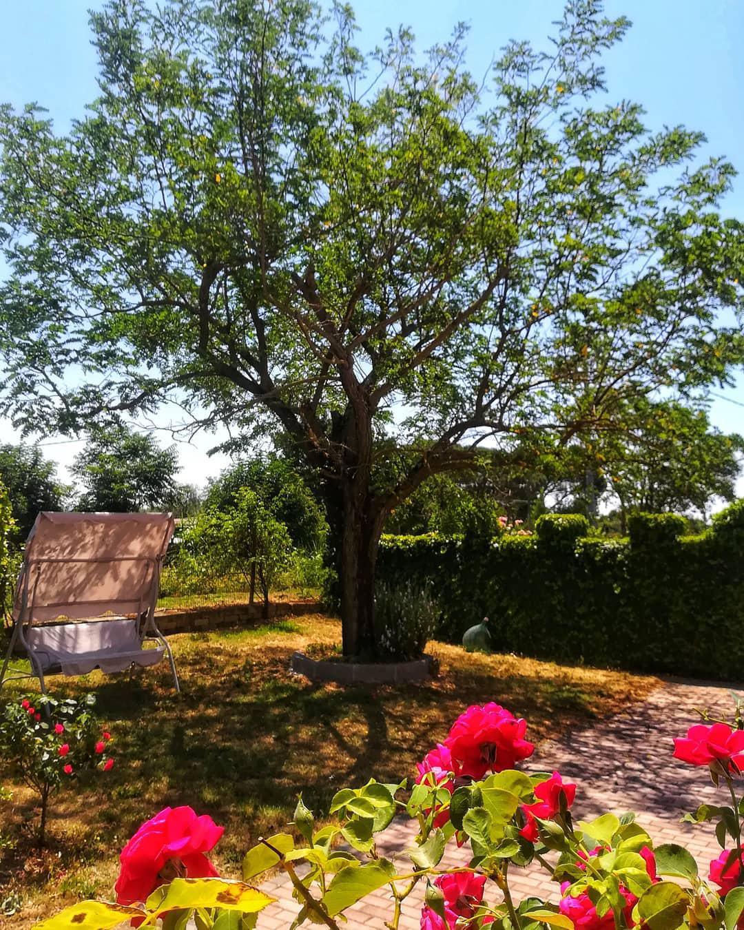 Agriturismo La Fraschetta - La Fraschetta Farmhouse Agriturismo La Fraschetta - La Fraschetta Farmhouse