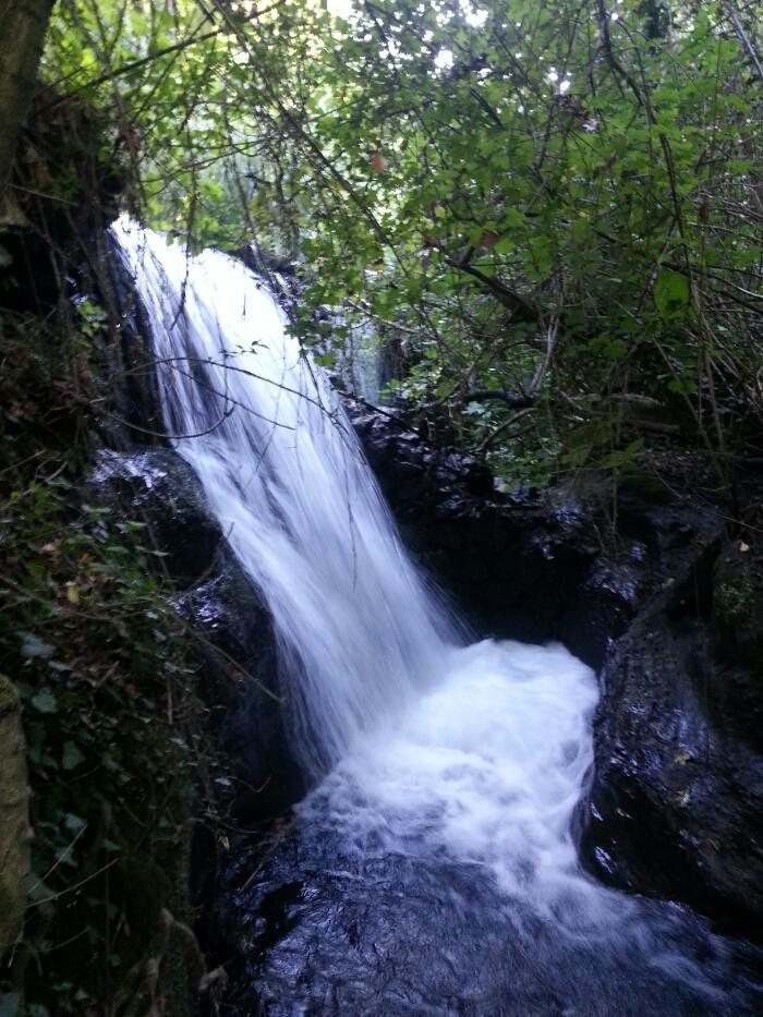 Parco di Turona