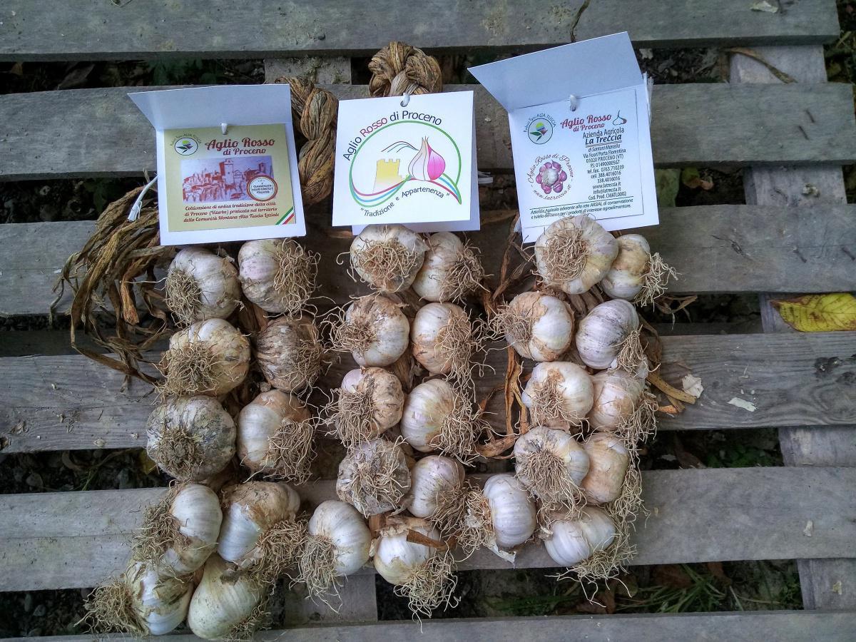 Azienda Agricola "La Treccia" - "La Treccia" Farm Azienda Agricola "La Treccia" - "La Treccia" Farm