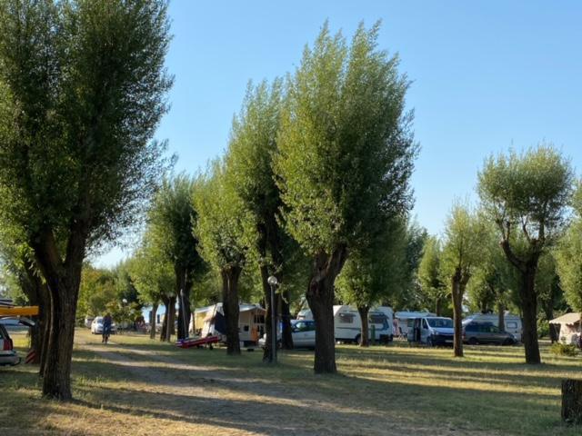 La Grata - The Grate La Grata - The Grate