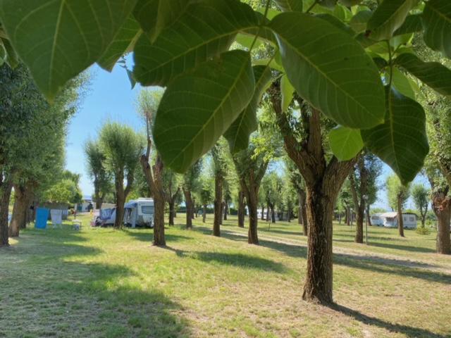 La Grata - The Grate La Grata - The Grate