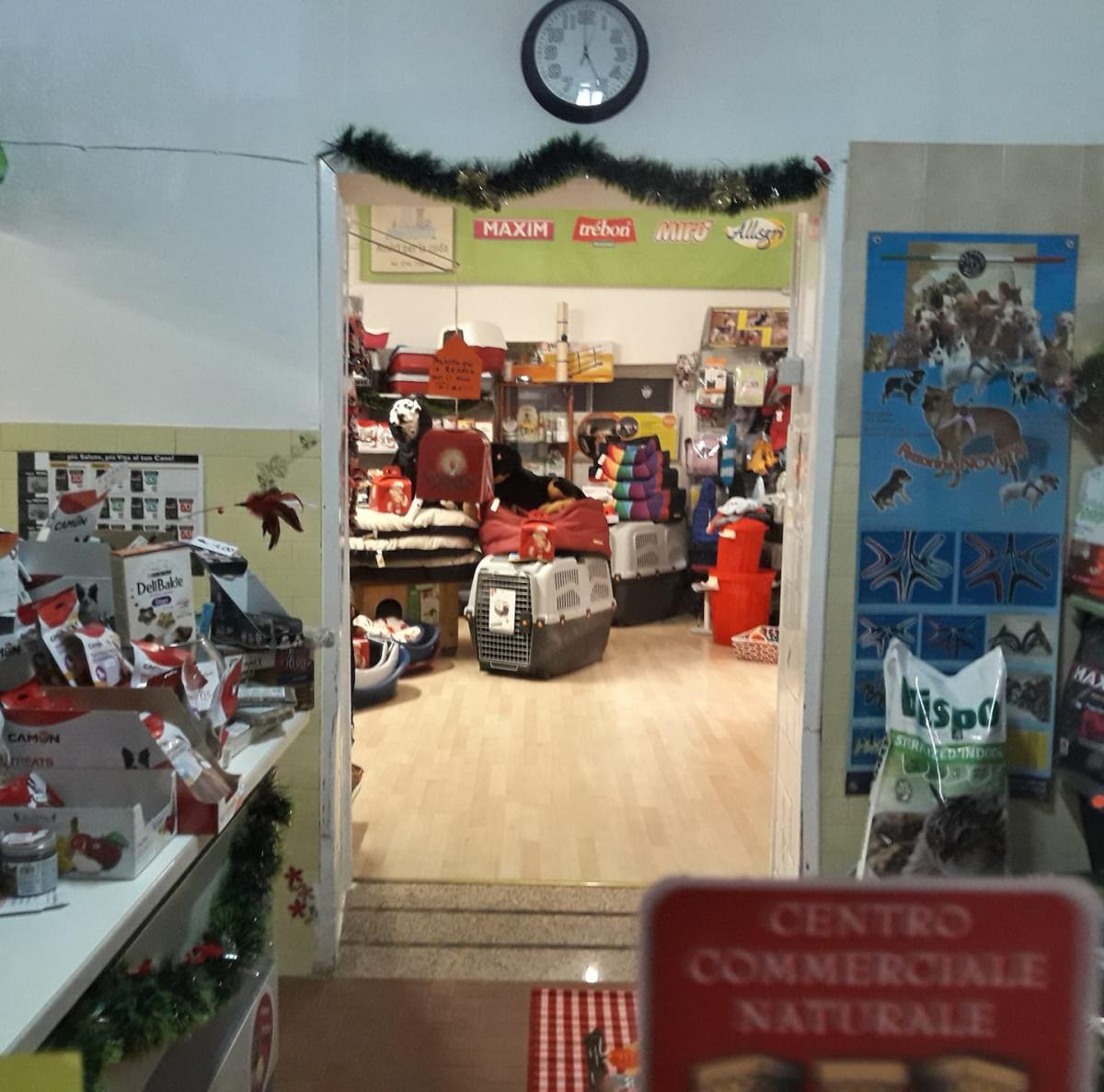 Amici per la Coda - Friends for the Tail Amici per la Coda - Friends for the Tail