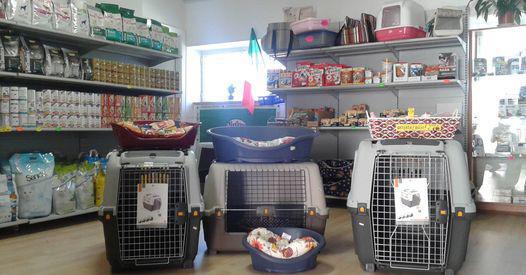 Amici per la Coda - Friends for the Tail Amici per la Coda - Friends for the Tail