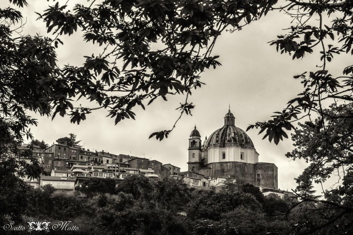 Comune di Montefiascone Comune di Montefiascone