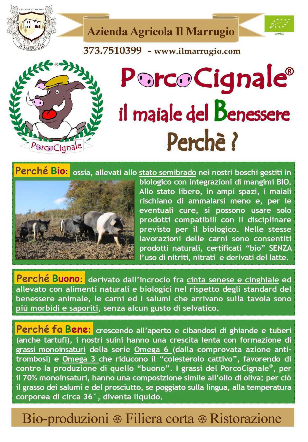 Il Marrugio Azienda Agricola - Il Marrugio Farm Il Marrugio Azienda Agricola - Il Marrugio Farm