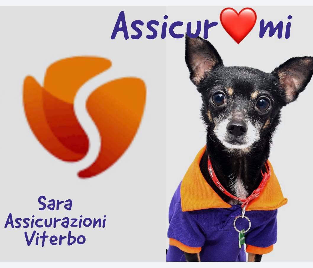 Sara Assicurazioni Viterbo - Sara Insurance – Viterbo Sara Assicurazioni Viterbo - Sara Insurance – Viterbo