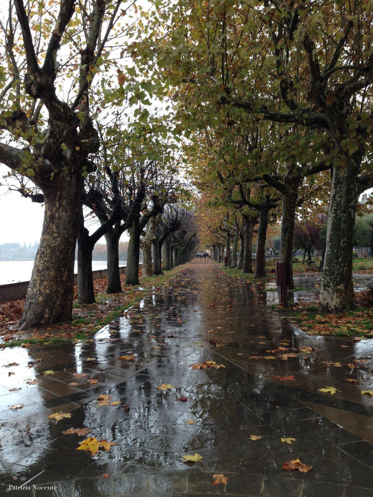 Comune di Marta (VT) Comune di Marta (VT)